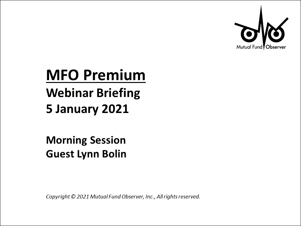JANUARY 2021 WEBINAR BRIEFING - LYNN BOLIN